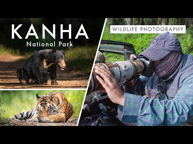 Wildlife Photography in Kanha National Park | TIGER COUNTRY Ep. 2 -  The Real Life Baloo