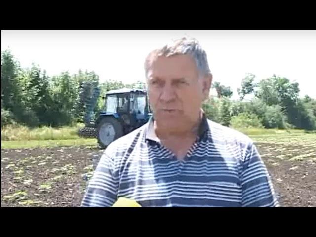 БОРОНА-МОТЫГА РОТАЦИОННАЯ
