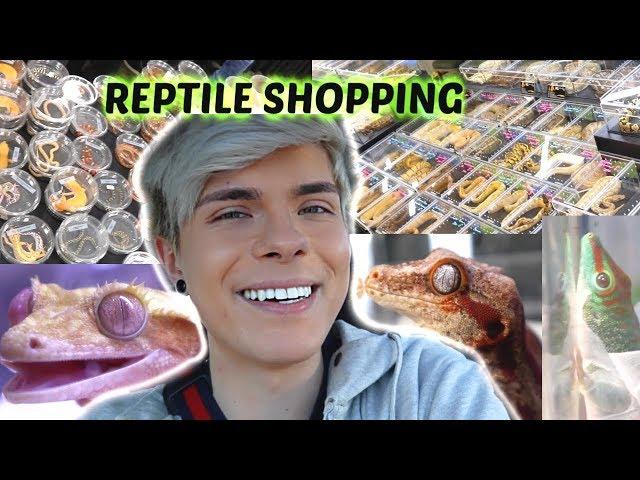 Come Reptile Shopping with Me!!! | Expo Vlog