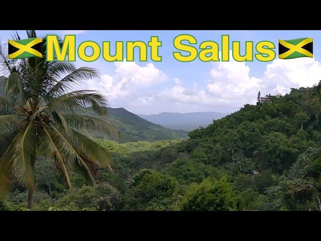 A Scenic Drive Through Mount Salus, A Hidden Community In Jamaica.