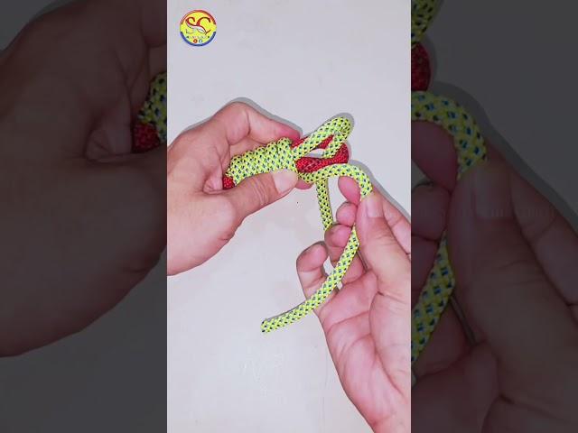 DIY Rope Knots for Beginners, Learn Step by Step #diy #viral #shorts ep2916