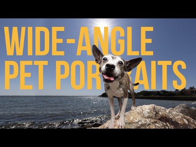 Easy One-Light Pet Portraits