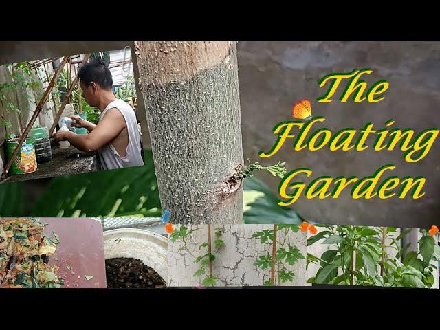 The Floating Garden of Bartolo||New Hobby:Planting||BARTOLONG GALA Adventures