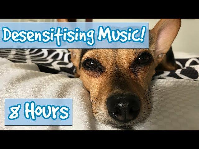 DOG DESENSITISATION! Music with Sound Effects to Desensitise Dogs to Noises and Reduce Anxiety! 