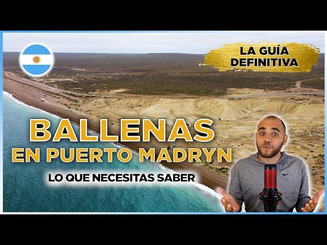  ¿Querés ver BALLENAS en PUERTO MADRYN en Chubut en 2024? ¡Esta GUÍA DE VIAJE te resuelve TODO! 