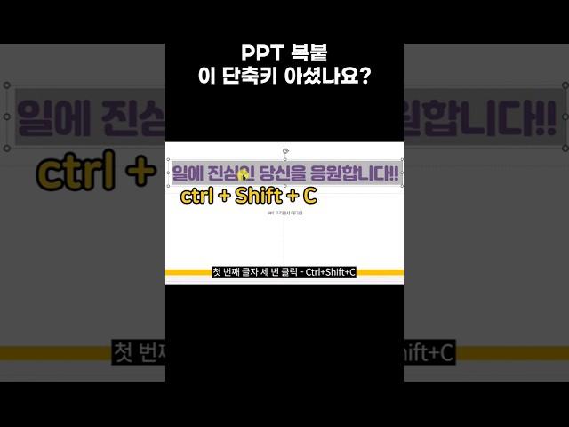 ppt 서식복사 단축키