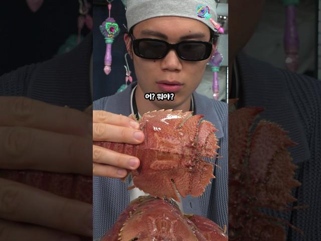 랍스터맛 새우?
