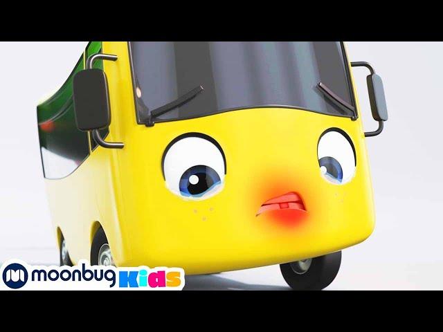 Diente tambaleante de Buster | Nanas para bebés | Buster en Español - Little Baby Bum