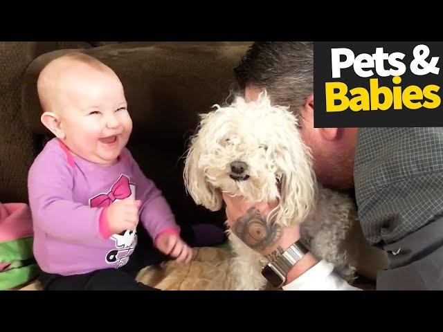 Ultimate Pets and Babies Best Friends | Viral Video Compilation 2019 