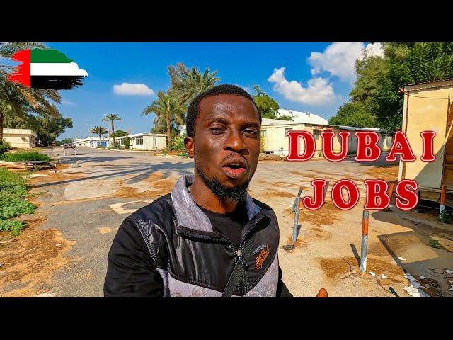 99% Chances of getting a job in Dubai in 2024. This is how