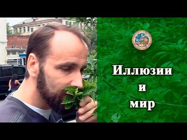 Иллюзии и мир