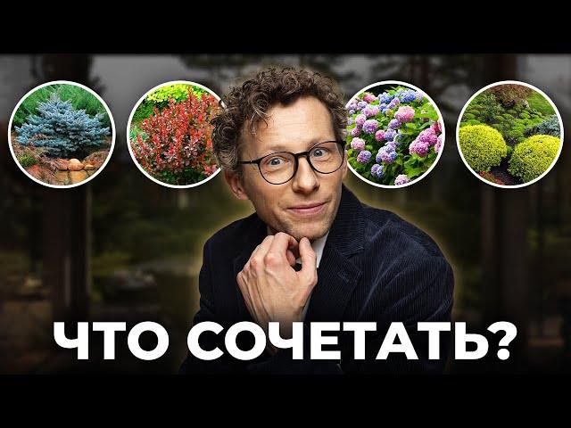5 лучших комбинаций всесезонных растений, которые можно посадить у себя в саду