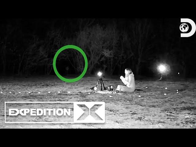 A Chilling Surprise in Dracula’s Forest | Expedition X | Discovery