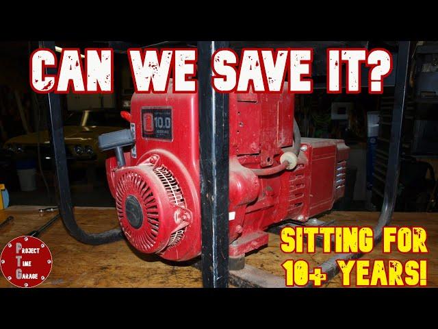 Will it run after sitting for more than 10 years? - First start and revival of an old generator