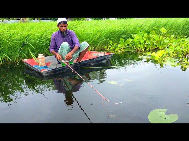 Hook Fishing - Traditional Hook Fishing - MR Fishing Life (Part-271)