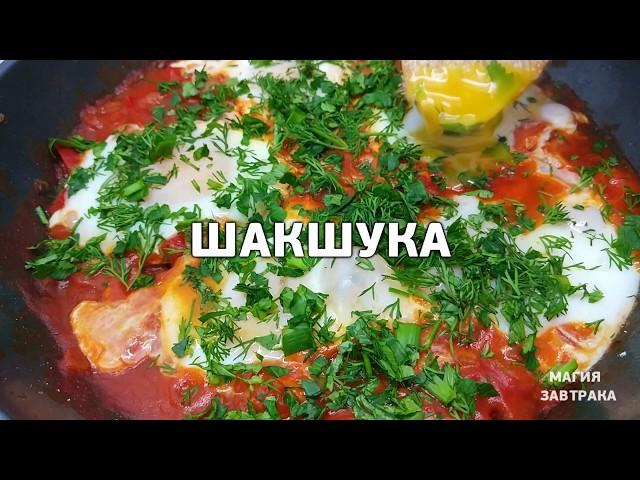 ЛУЧШАЯ ШАКШУКА на сковороде. Вкусная яичница с помидорами по-восточному.