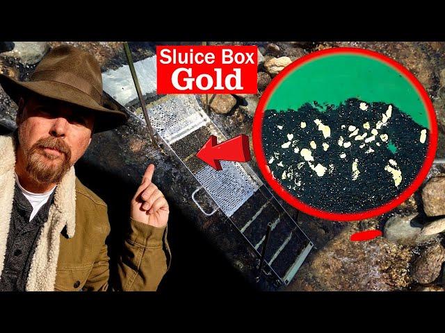 Sluice Box Gold - Gold Panning #askjeffwilliams