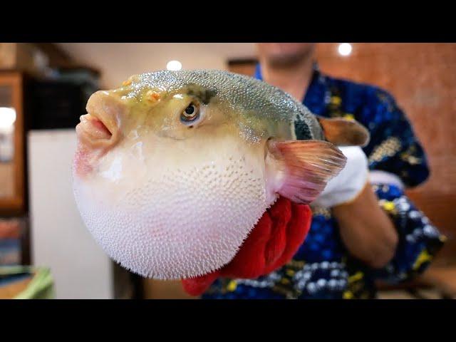 Japanese Food - POISONOUS FUGU Fukumeshi Okinawa Seafood Japan