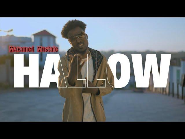 MAXAMED MUSTAFE - HALLOW WAN MAQLAYA [Official Video] 2025