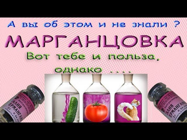 Марганцовка - вот тебе и польза, однако. А вы это знали?