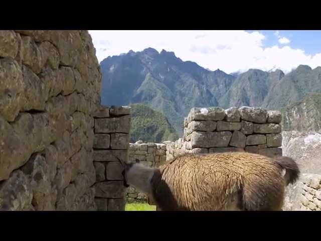 Explora Machu Picchu con Google