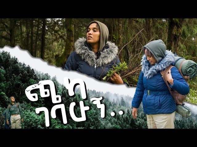 ጫካ ገባሁኝ " በጅቦች ተከበብኩ " ሜላት ነብዩ | MELAT NEBIYOU