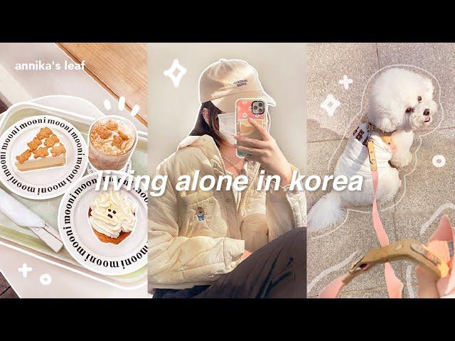 KOREA VLOG  shopping at coex mall, leaving the city, more aesthetic cafes, puppies, living alone