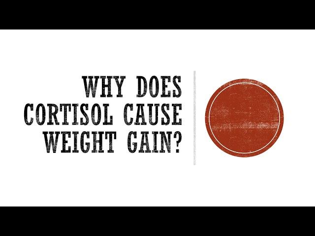 Why Does Cortisol Cause Weight Gain?