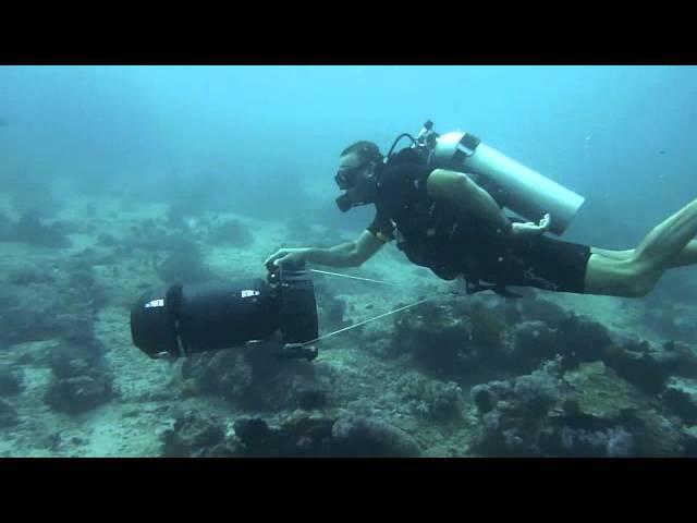 PADI DPV under water scooter course by Khaled Zaki