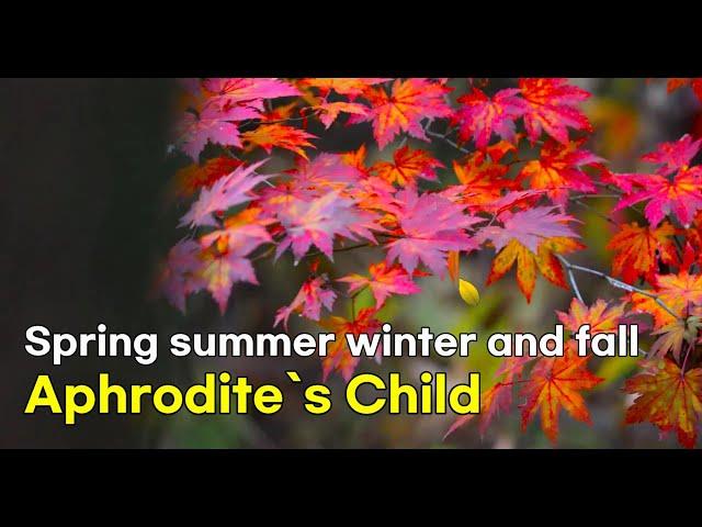 Aphrodite`s Child - Spring summer winter and fall(lyrics 번역가사)