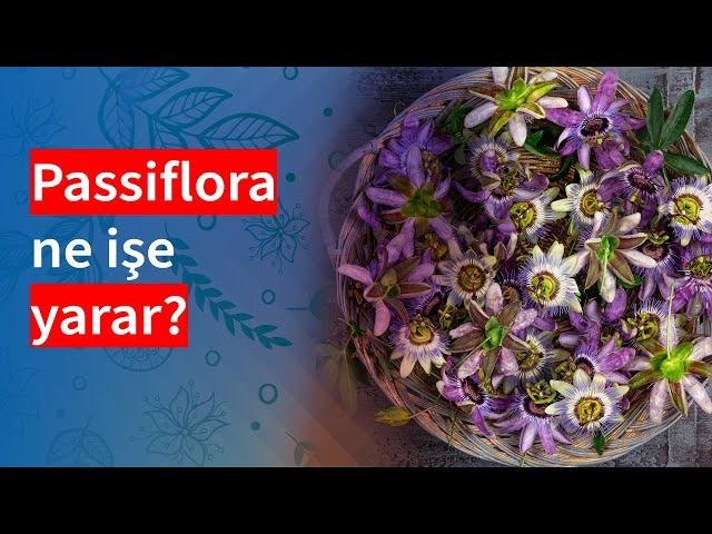 Passiflora ne işe yarar? | Medical Park