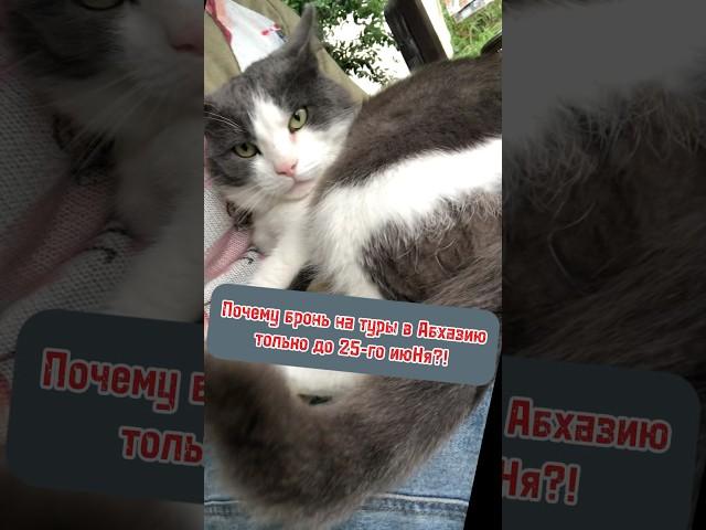Смешные цены на Путешествие-Ретрит в Абхазию! Бронь до 25-го июНя! #отдых #абхазия #море #развитие