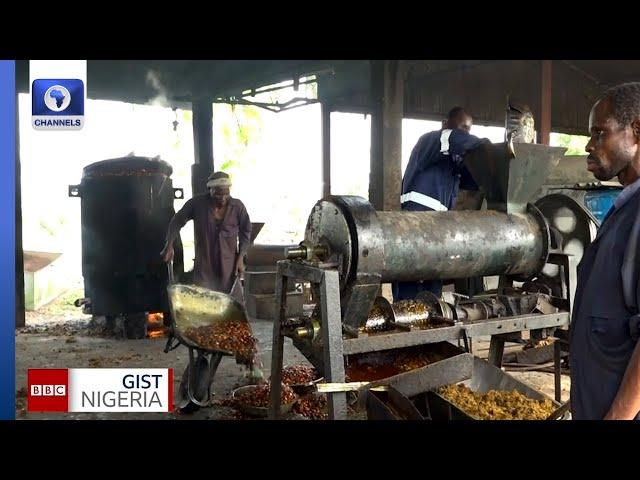 Nigerian Engineers At NIFOR Fabricate Oil Palm Production Equipment