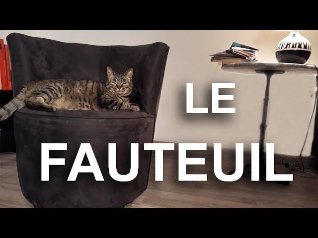 LE FAUTEUIL -  PAROLE DE CHAT