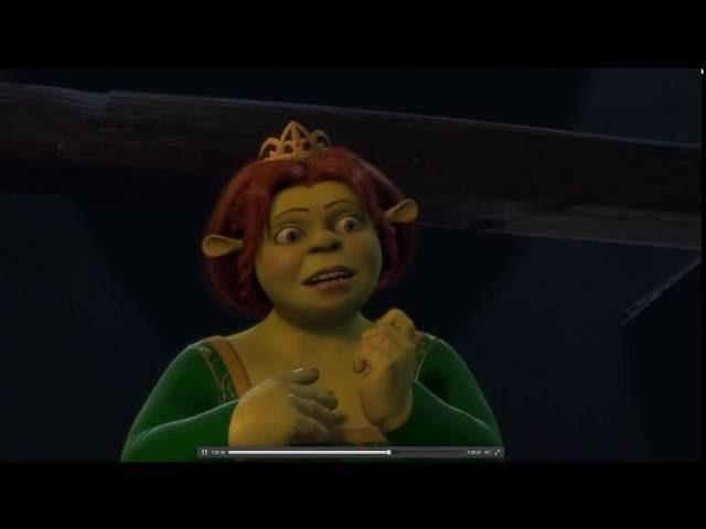 Shrek : Donkey sees Fiona's real form for the first time.