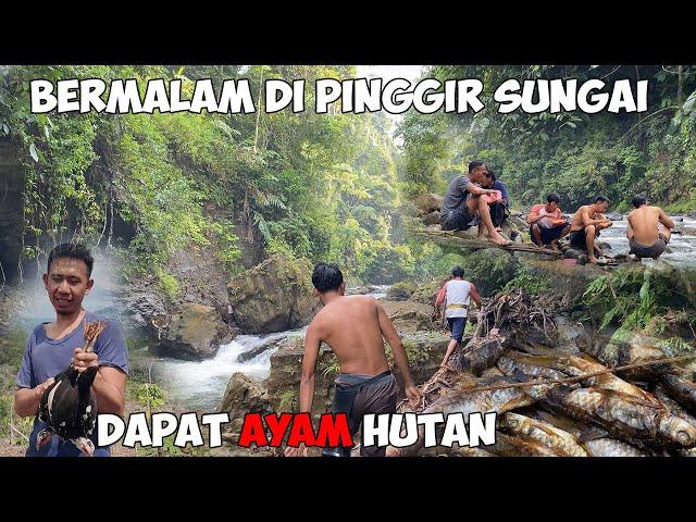 Fishing Camp To Wild Bee Honey Hunter Garden Get Jungle Fowl