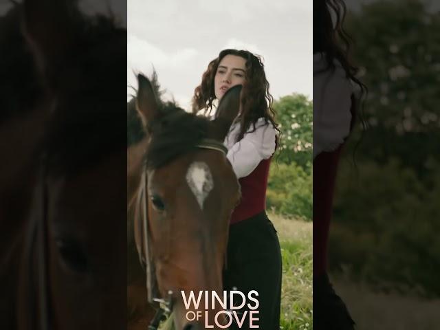 Zeynep Aslanlı asaleti ️‍ | #windsoflove #shorts #ruzgarlitepe #zeyhal #turkishdrama