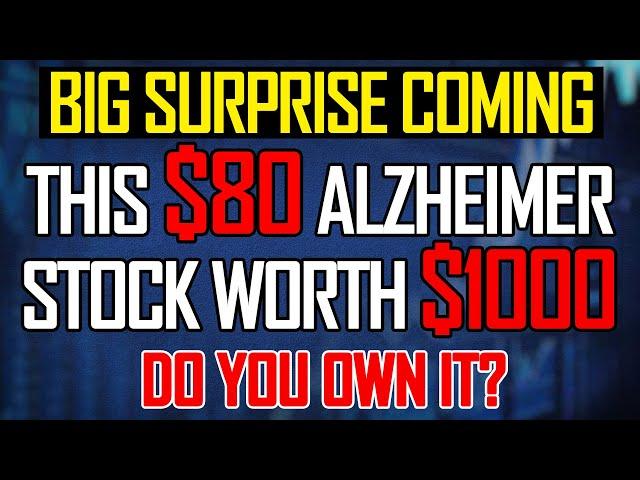 The Only Stock To 12x Your Money - Do You Own It?