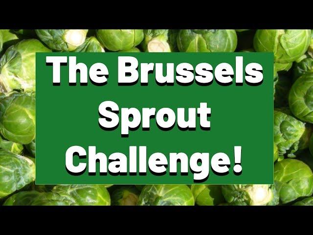 The Brussels Sprout Challenge!