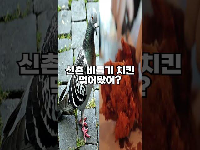 신촌 비둘기 치킨 먹어봤어?