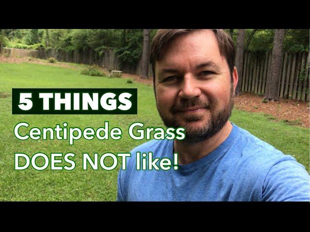 5 Things CENTIPEDE GRASS does NOT like! | Centipede Lawn Care