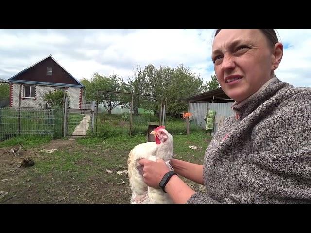 Деревенские будни