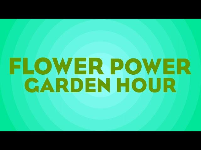 Flower Power Garden Hour 129:  The history of holiday plants , with Matt Mattus