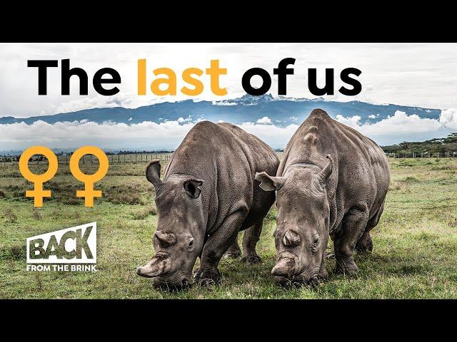 How to Save a Species When There Are Only Two Females Left | Back from the Brink