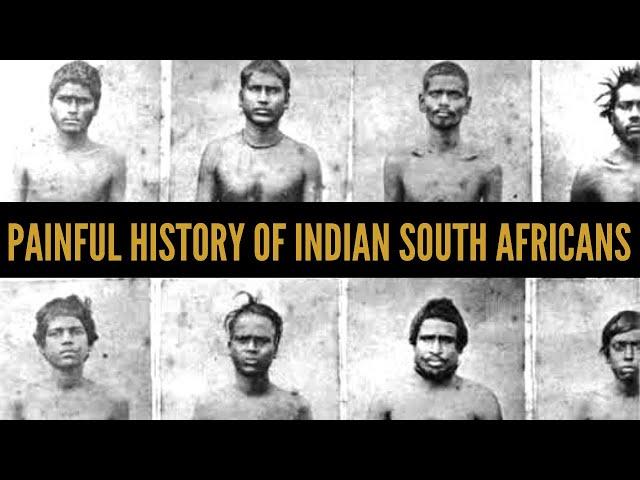 Indian South Africans: The painful story of indentured labourers | African Biographics