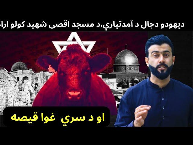 Red Heifer ( Red Cow ) explained by Tariq Pathan