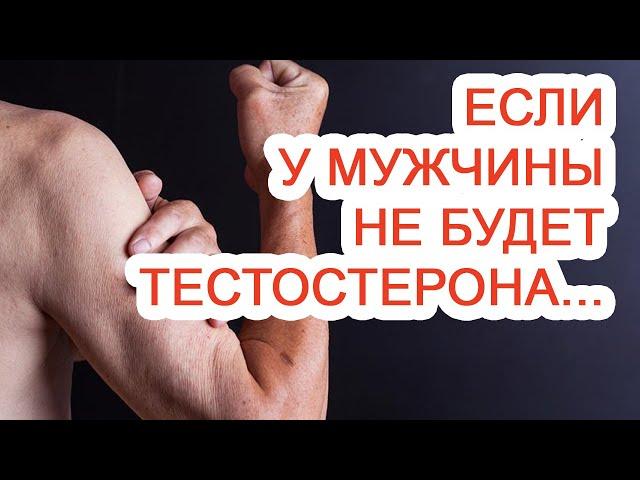 Если у мужчины не будет тестостерона / Доктор Черепанов