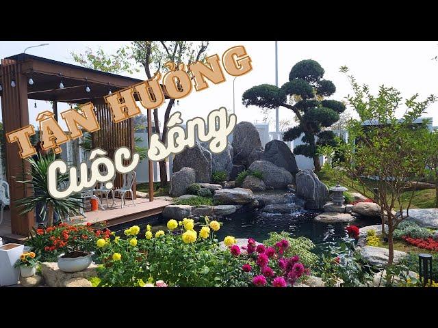 Đẹp TUYỆT VỜI không gian sân vườn hồ Koi Đẳng Cấp | KOJI LANDSCAPE