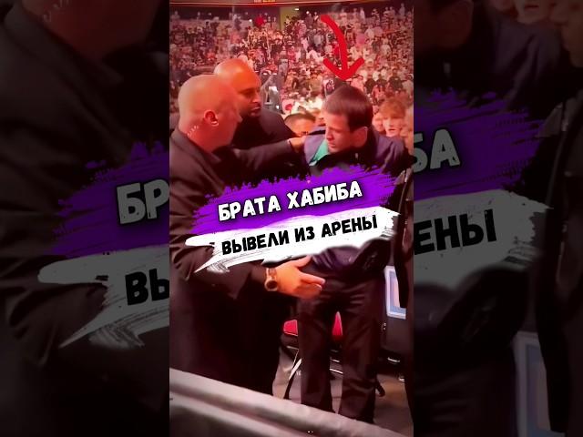 За ЧТО БРАТА ХАБИБА ВЫВЕЛИ ИЗ АРЕНЫ UFC #shorts