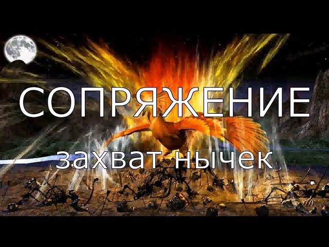 Захват внешних жилищ за Сопряжение. Герои 3. Гайд